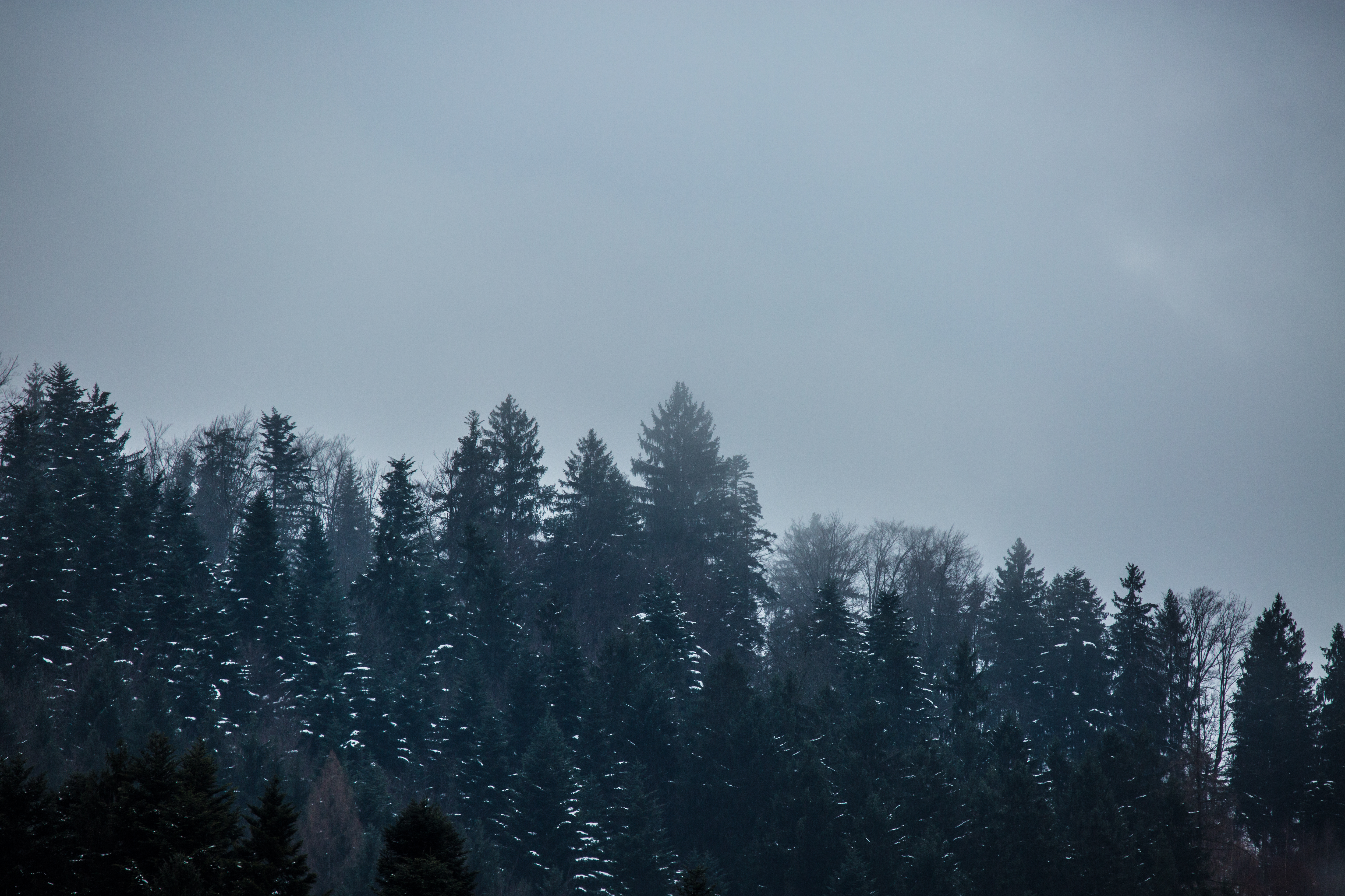 _K4A9888 _K4A9888